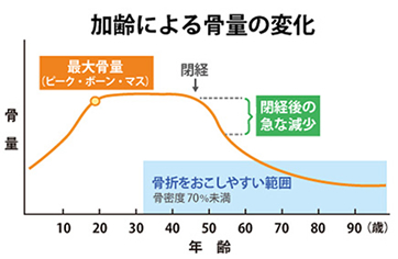 加齢による骨量の変化